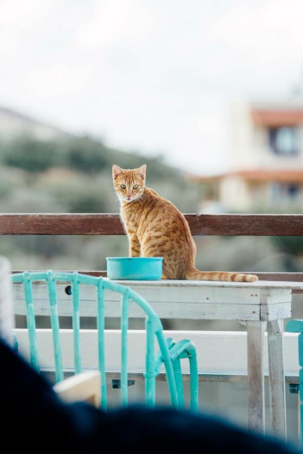Saveriako, Paradise For Relaxed Free Spirits Villa Agia Pelagia  Exterior photo
