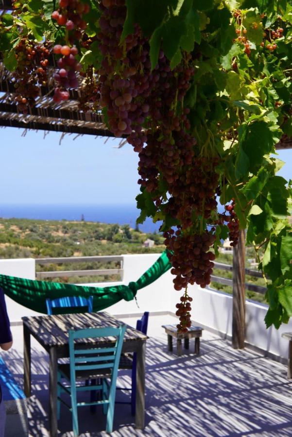 Saveriako, Paradise For Relaxed Free Spirits Villa Agia Pelagia  Exterior photo