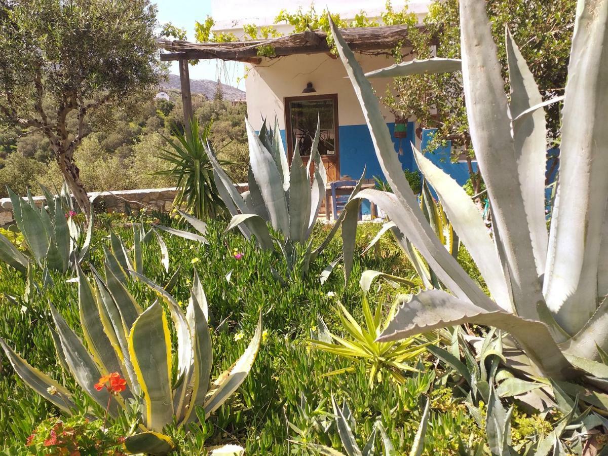 Saveriako, Paradise For Relaxed Free Spirits Villa Agia Pelagia  Exterior photo